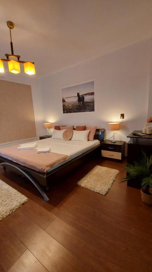 Ambient Apartament *